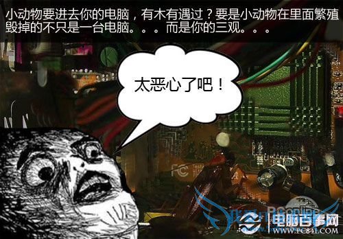 台式电脑怎么清理灰尘 小白清理电脑灰尘全攻略