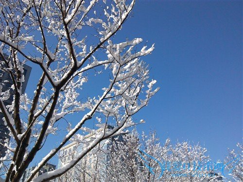 百元四核手机 电信版酷派5890深度评测