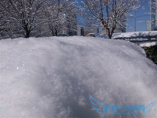 百元四核手机 电信版酷派5890深度评测