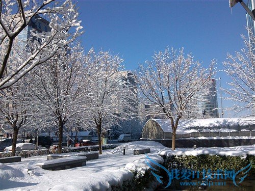 百元四核手机 电信版酷派5890深度评测