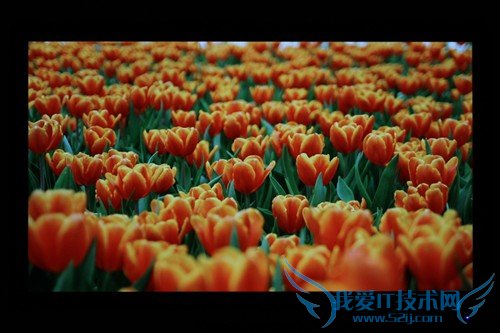 HKC T7000+显示器评测