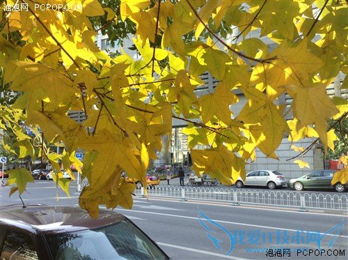 并非经典但很实用!iPad mini全面评测