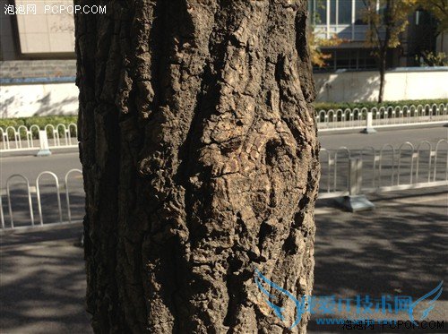 并非经典但很实用!iPad mini全面评测