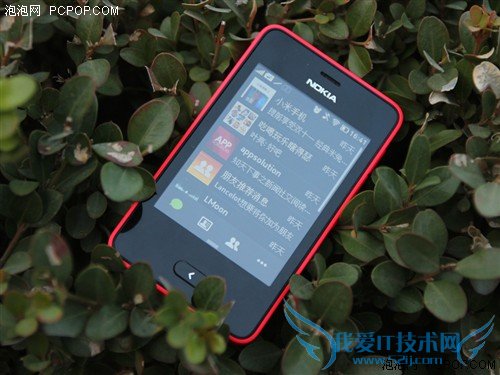 Ashaƽֲ̨ ŵAsha501 