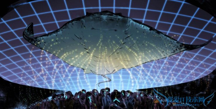 这位黑客被控73宗罪,却成了美国民权英雄