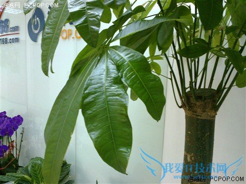 双卡超长待机 金属机身诺基亚515评测