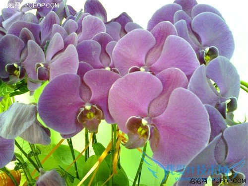 双卡超长待机 金属机身诺基亚515评测