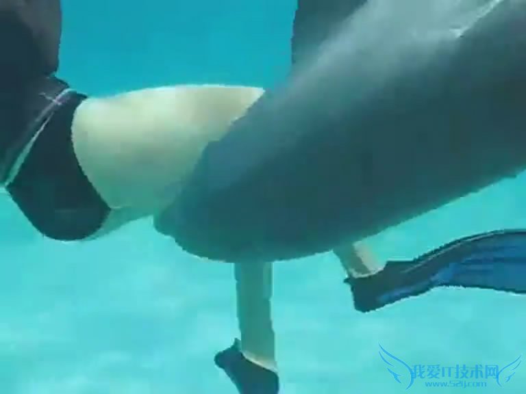 ̸߾ʵŮǱˮԱںﱻ˽ܴ