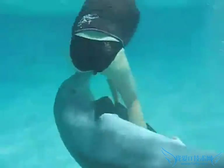 ̸߾ʵŮǱˮԱںﱻ˽ܴ