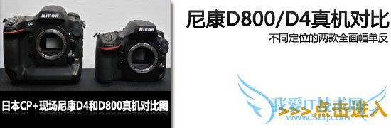 3600ȫ῵D800ϸ 