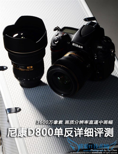 ȫ῵D800ϸ 