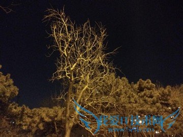 升级不止一点点 红米Note3全网通版体验