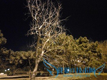 升级不止一点点 红米Note3全网通版体验