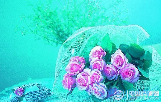 史上最全宽带连接错误解决办法