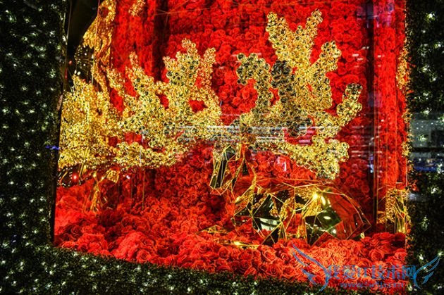 MTM0ODE3MDc2OTk1OTg2NzA2