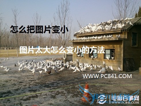 怎么把图片变小