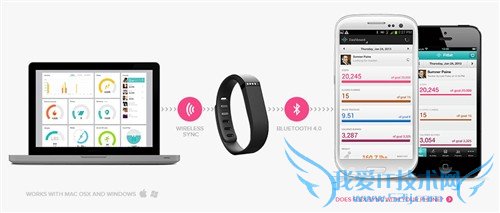 Fitbit Flexֻ ֹװ13 