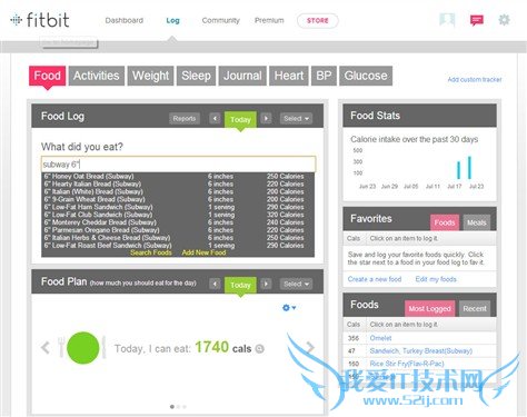 Fitbit Flexֻ ֹװ13 