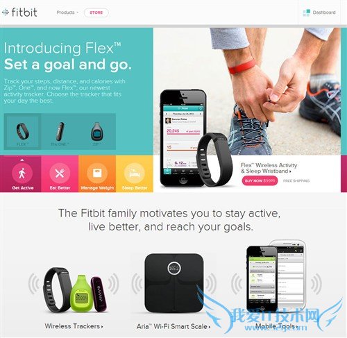 Fitbit Flexֻ 