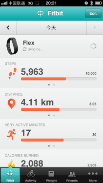 Fitbit Flexֻ ֹװ13 