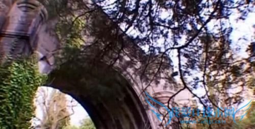 ͼΪո˰ͶٿŷֶţѾ600ֻɱ