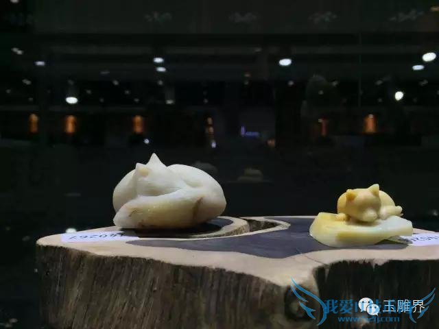 2015칤ȫʦЯƷPK۽磡