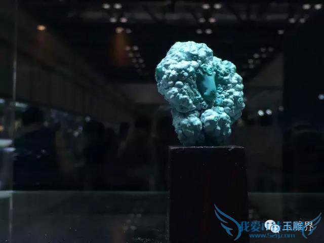 2015칤ȫʦЯƷPK۽磡