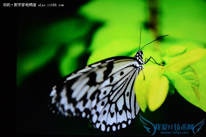 画质如何?实测解析