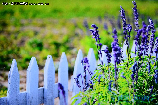 画质如何?实测解析