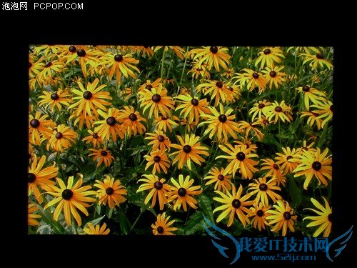 24吋宽屏新霸主 戴尔2408WFP独家首测