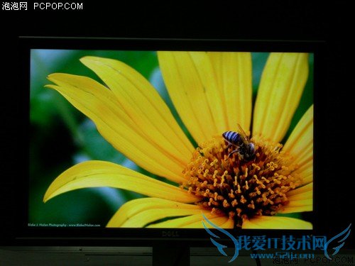 24吋宽屏新霸主 戴尔2408WFP独家首测