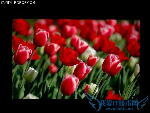 24吋宽屏新霸主 戴尔2408WFP独家首测