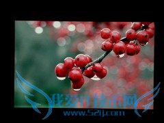 24吋宽屏新霸主 戴尔2408WFP独家首测