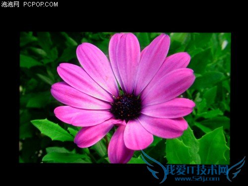 24吋宽屏新霸主 戴尔2408WFP独家首测