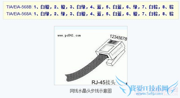 网线接头顺序示意图