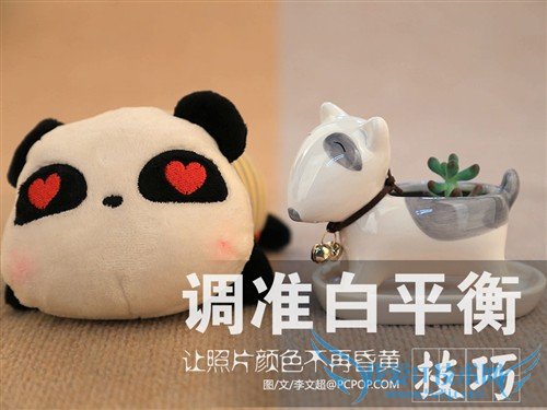 让照片不再昏黄 小技巧轻松调准白平衡