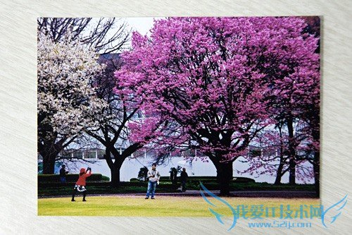 保存珍贵的回忆 翻拍照片的实用技巧