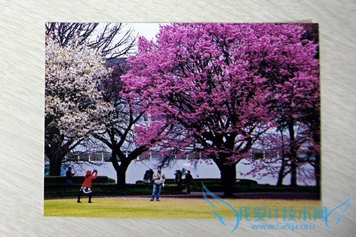 保存珍贵的回忆 翻拍照片的实用技巧