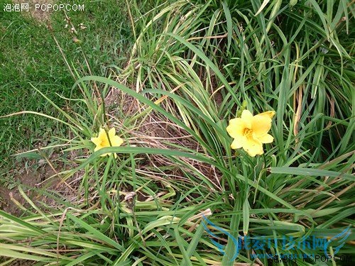 Xperia Z Ultra XL39h 