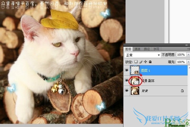 用Photoshop制作简单易懂的滚动文字签名教程图-3