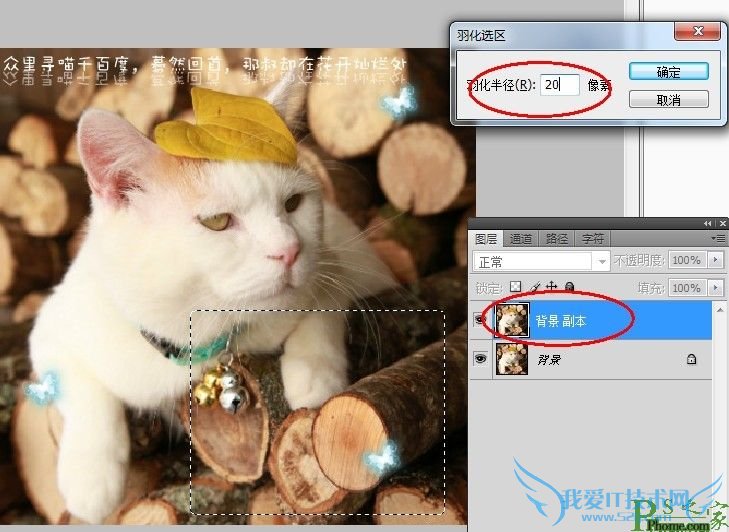 用Photoshop制作简单易懂的滚动文字签名教程图-2