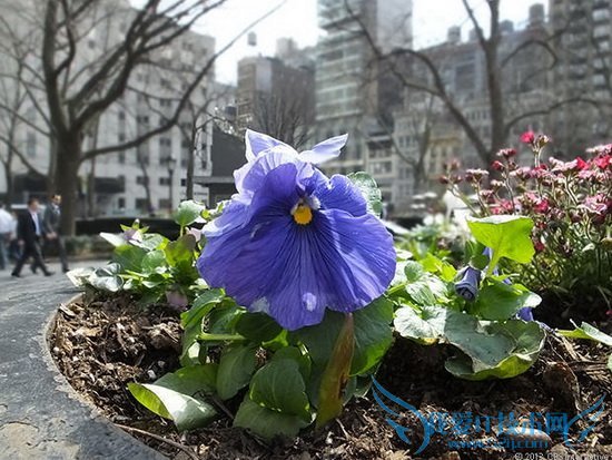 富士HS50 EXR评测:42倍光学变焦镜头功能丰富