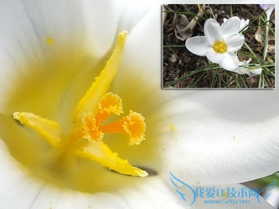 富士HS50 EXR评测:42倍光学变焦镜头功能丰富