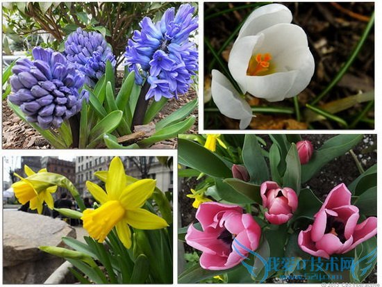 富士HS50 EXR评测:42倍光学变焦镜头功能丰富