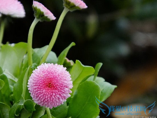 富士HS50 EXR评测:42倍光学变焦镜头功能丰富