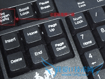 ʹüϵ“PrtSc SysRq”ץ