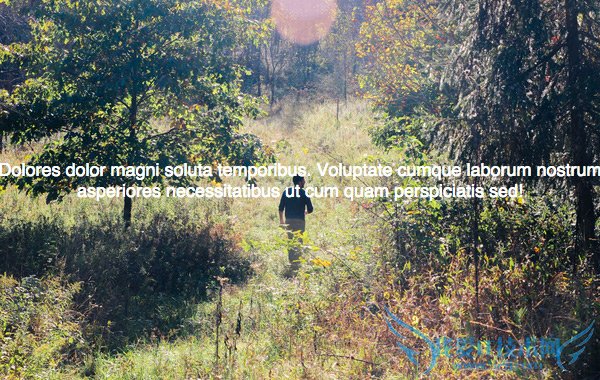 设计基本功!5个帮你掌握图文排版的小技巧