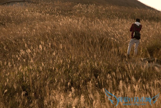 Taste the Atmosphere的封面是怎样拍出来的 我爱IT技术网