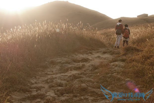 Taste the Atmosphere的封面是怎样拍出来的 我爱IT技术网