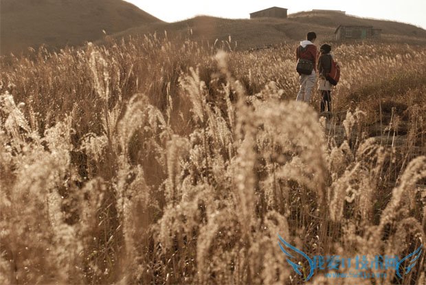 Taste the Atmosphere的封面是怎样拍出来的 我爱IT技术网